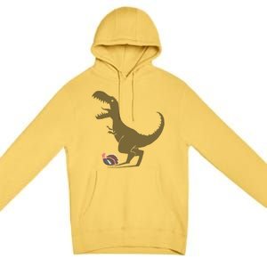 Evolution Sucks Premium Pullover Hoodie