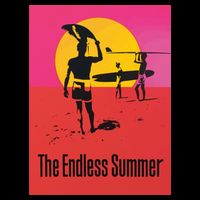 Endless Summer 16 in Basic Backpack