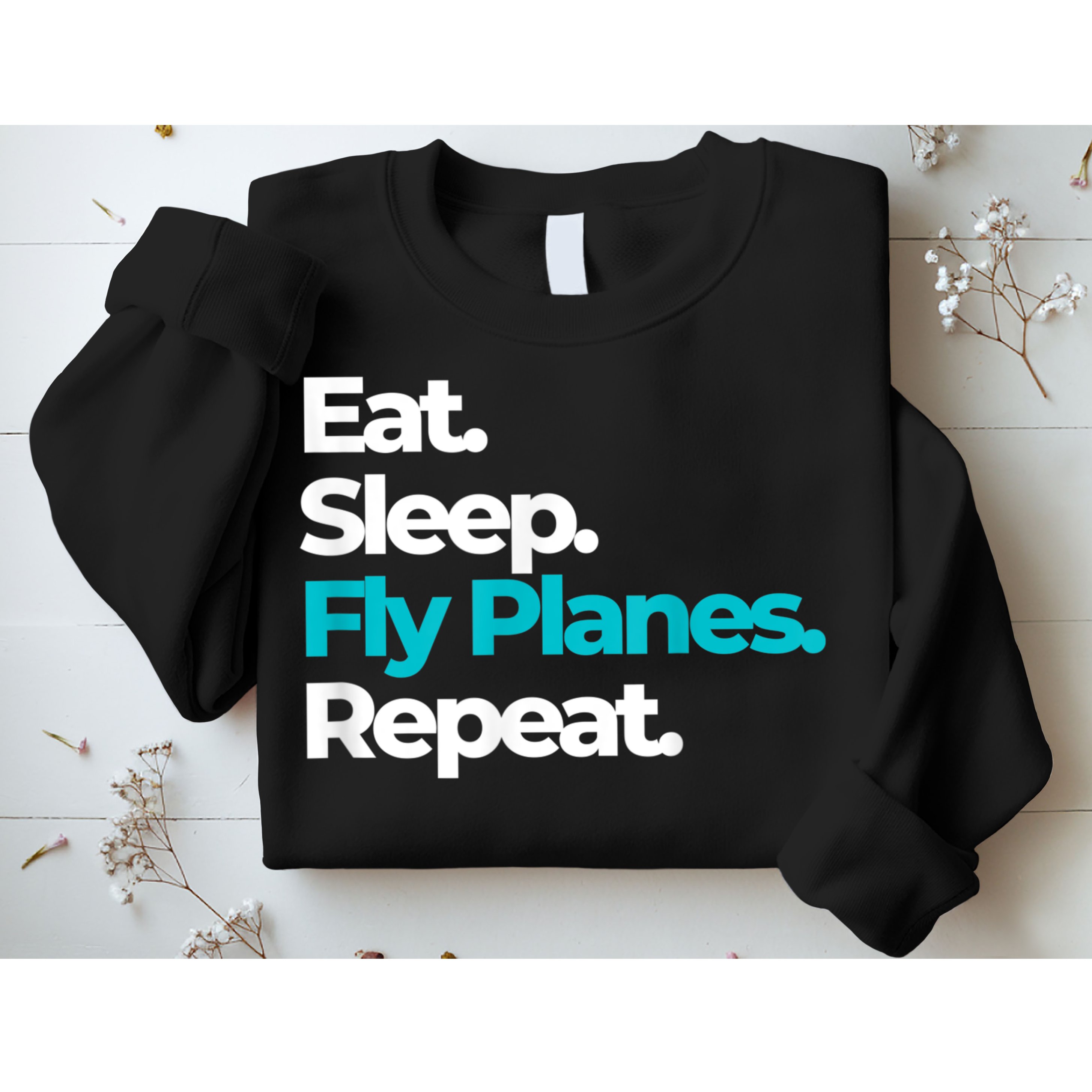 Eat Sleep Fly Planes Repeat For Aircraft Pilots Sweatshirt