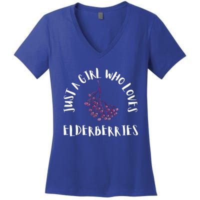 Elderberry Syrup Flu Sambucus Homeopath Medicine Gift Women's V-Neck T-Shirt