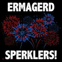 Ermagerd Sperklers Funny 4th Of July Fireworks Tank Top