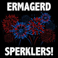 Ermagerd Sperklers Funny 4th Of July Fireworks Toddler T-Shirt