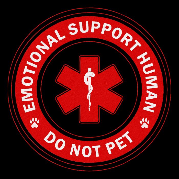 Emotional Support Husband Do Not Pet Sustainable Bucket Hat