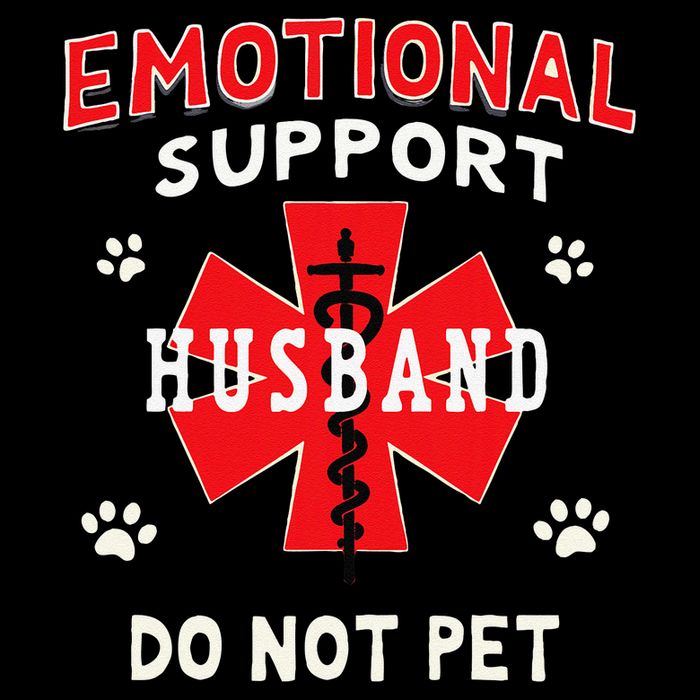 Emotional Support Husband Do Not Pet Wool Snapback Cap