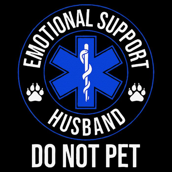Emotional Support Husband Do Not Pet Funny Trendy Women Wool Snapback Cap