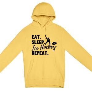 Eat Sleep Ice Hockey Repeat Ice Hockey Gift Premium Pullover Hoodie