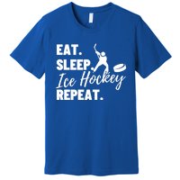 Eat Sleep Ice Hockey Repeat Ice Hockey Gift Premium T-Shirt