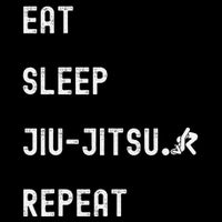 Eat Sleep Jiujitsu Repeat Mug