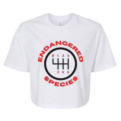 Endangered Species Manual Gearbox Stick Shift 6 Speed Bella+Canvas Jersey Crop Tee