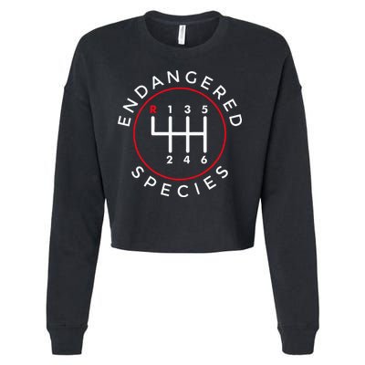 Endangered Species Manual Gearbox Stick Shift 6 Speed Cropped Pullover Crew