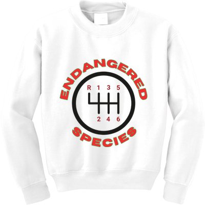 Endangered Species Manual Gearbox Stick Shift 6 Speed Kids Sweatshirt
