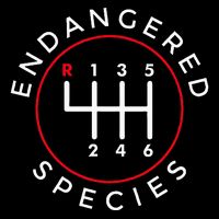 Endangered Species Manual Gearbox Stick Shift 6 Speed 7-Panel Snapback Hat