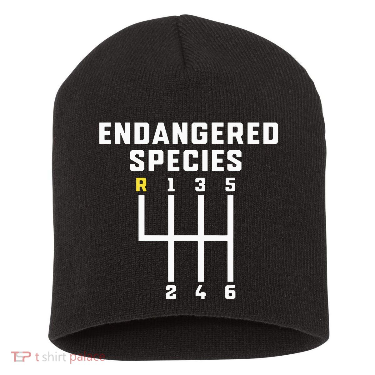 Endangered Species Manual Gearbox Stick Shift Short Acrylic Beanie