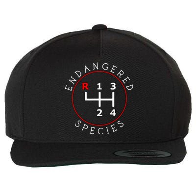 Endangered Species Manual Gearbox Stick Shift 4 Speed 1320 Wool Snapback Cap