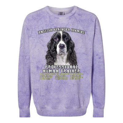 English Springer Spaniel Black Professional Human Trainer Colorblast Crewneck Sweatshirt