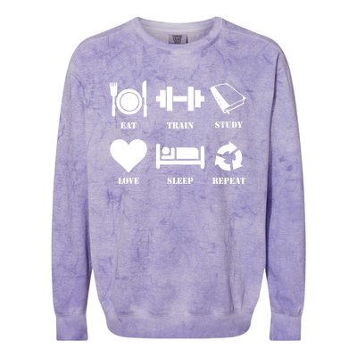 Eat Sleep Study Love Sleep Repeat Great Gift Motivational Gym Meaningful Gift Colorblast Crewneck Sweatshirt