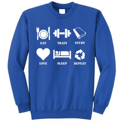 Eat Sleep Study Love Sleep Repeat Great Gift Motivational Gym Meaningful Gift Sweatshirt