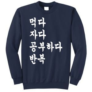 Eat Sleep Study Korean Korean Language Sweatshirt