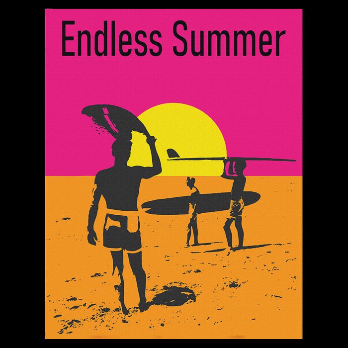 Endless Summer Surf Womens T-Shirt