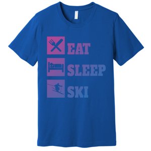 Eat Sleep Ski Cool Gift Premium T-Shirt