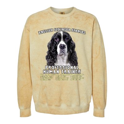 English Springer Spaniel Black Professional Human Trainer Colorblast Crewneck Sweatshirt