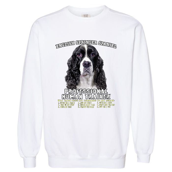 English Springer Spaniel Black Professional Human Trainer Garment-Dyed Sweatshirt