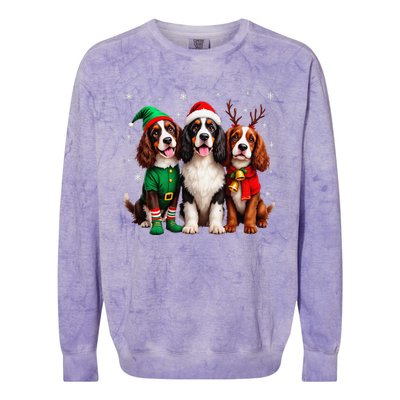 English Springer Spaniel Christmas Dogs Santa Reindeer Elf Colorblast Crewneck Sweatshirt