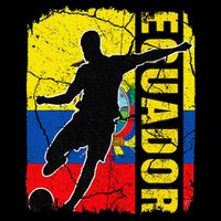Ecuadorian Soccer Team Ecuador Flag Jersey Football Fans 16 in Basic Backpack