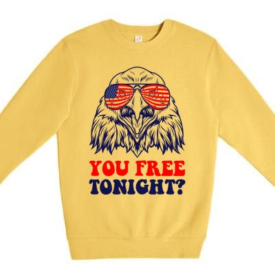 Eagle Sunglasses Usa Patriotic American You Free Tonight Gift Premium Crewneck Sweatshirt