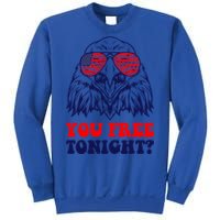 Eagle Sunglasses Usa Patriotic American You Free Tonight Gift Sweatshirt