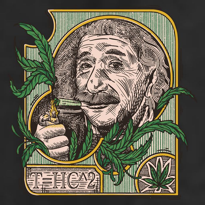 Einstein Smoking Weed 7 Panel Mesh Trucker Snapback Hat