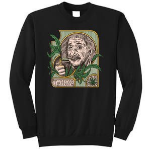 Einstein Smoking Weed Sweatshirt