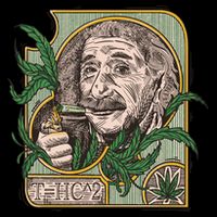 Einstein Smoking Weed Premium T-Shirt