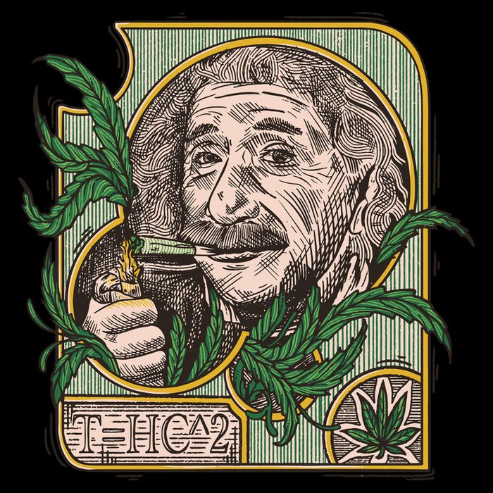 Einstein Smoking Weed Premium T-Shirt