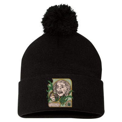 Einstein Smoking Weed Pom Pom 12in Knit Beanie