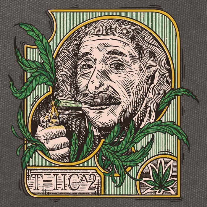 Einstein Smoking Weed Cotton Canvas Backpack