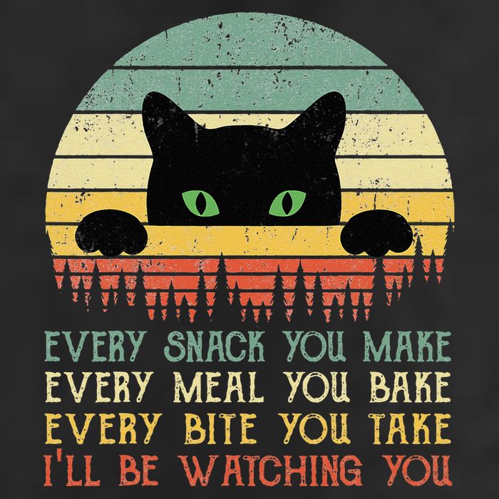 Every Snack You Make Cat Funny Cat Mom Cat Mama Cat Dad Adult Drive Performance Visor