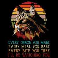 Every Snack You Make Ill Be Watching Funny Maine Coon Meow Hoodie