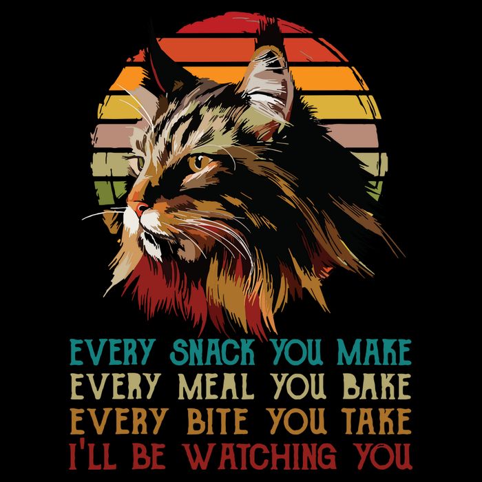 Every Snack You Make Ill Be Watching Funny Maine Coon Meow Hoodie