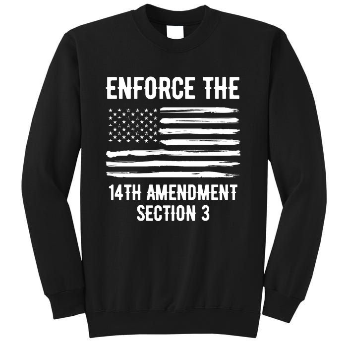 Enforce The 14th Amendment Section 3 Sweatshirt