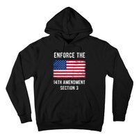 Enforce The 14th Amendment Section 3 Hoodie