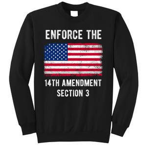 Enforce The 14th Amendment Section 3 Sweatshirt