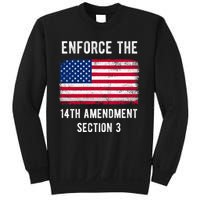 Enforce The 14th Amendment Section 3 Sweatshirt