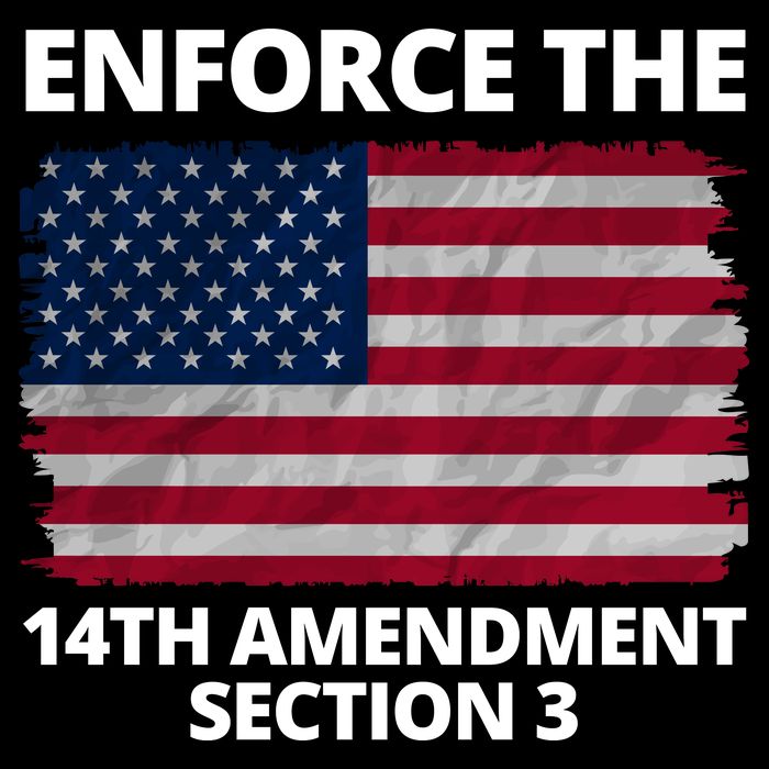 Enforce The 14th Amendment Section 3 City Backpack