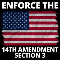 Enforce The 14th Amendment Section 3 16 in Basic Backpack