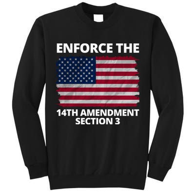 Enforce The 14th Amendment Section 3 Tall Sweatshirt