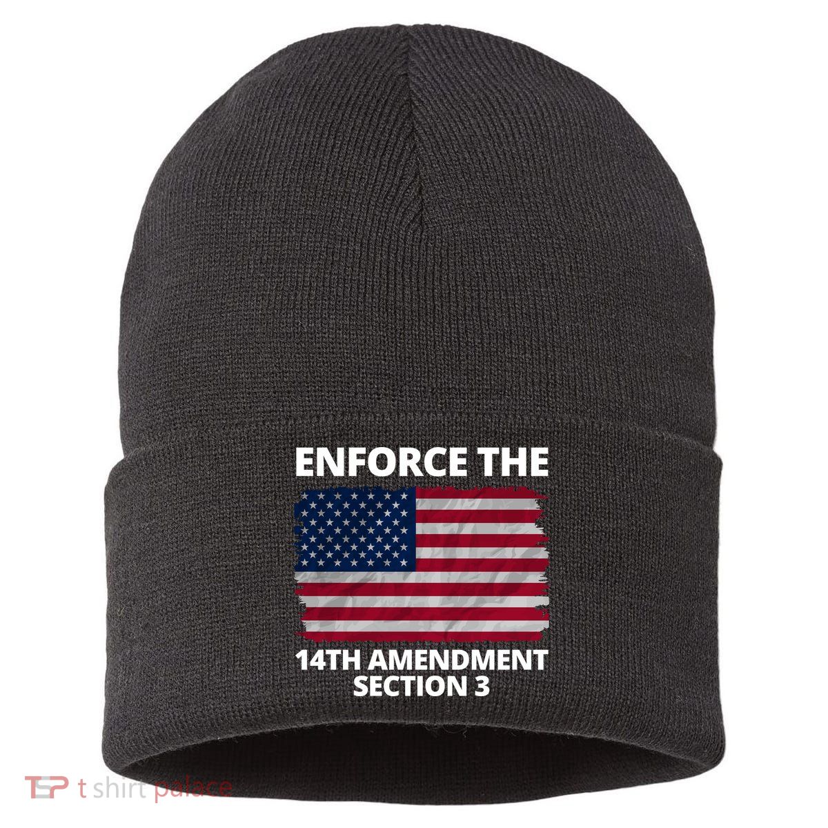 Enforce The 14th Amendment Section 3 Sustainable Knit Beanie