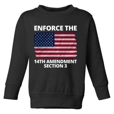 Enforce The 14th Amendment Section 3 Toddler Sweatshirt