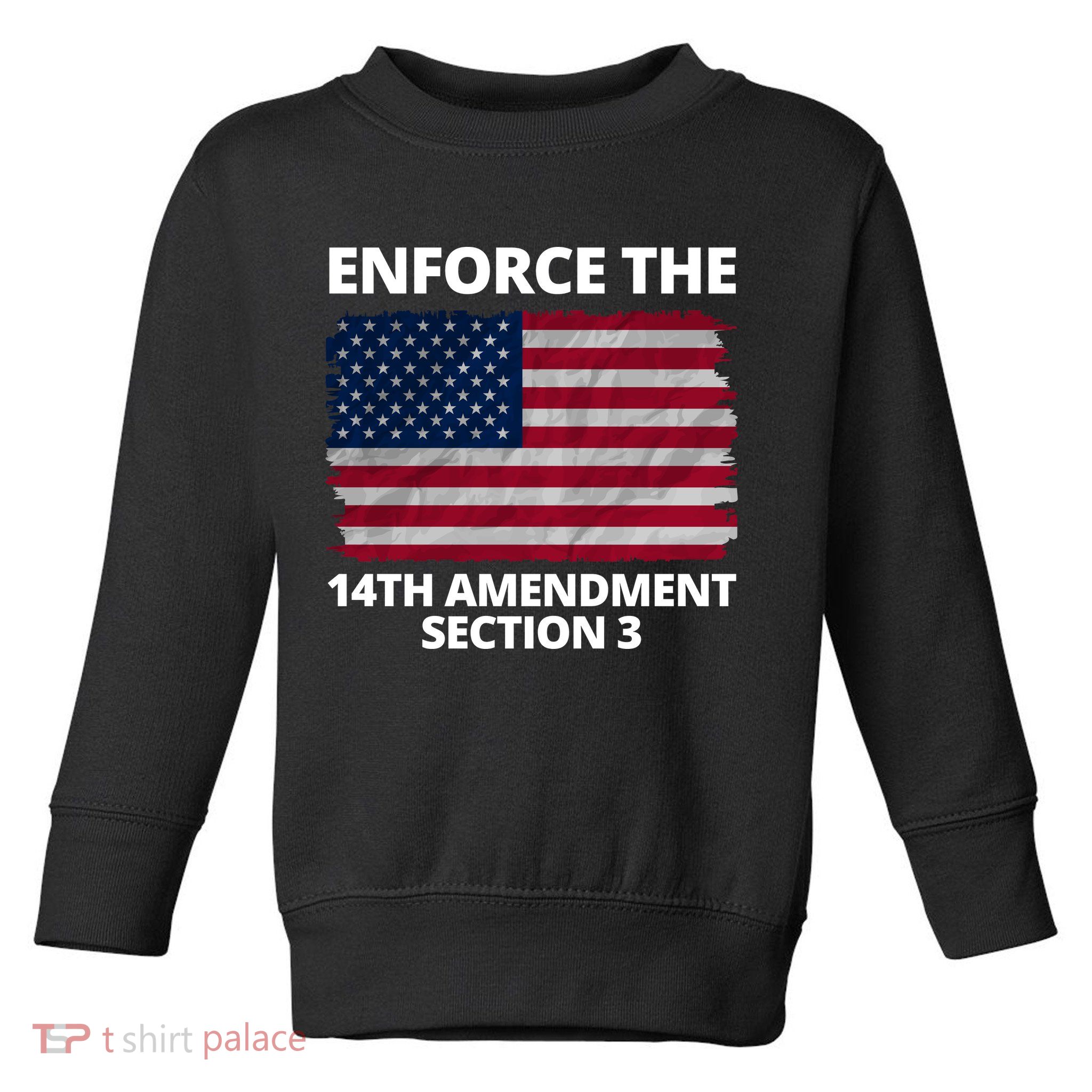 Enforce The 14th Amendment Section 3 Toddler Sweatshirt