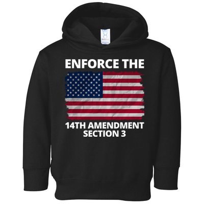 Enforce The 14th Amendment Section 3 Toddler Hoodie